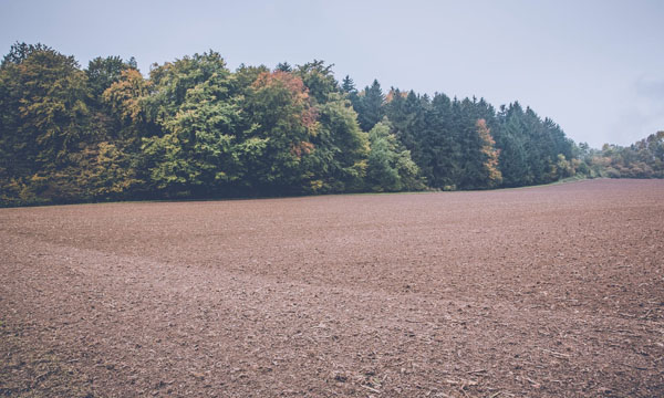 Land zu vermieten