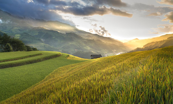 Terreni agricoli e fattorie in affitto